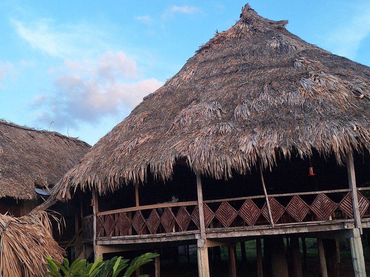 Invest in Decolonising&nbsp;Narratives